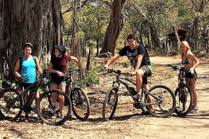 Discovery Guided Tour - Photo 1 of 5